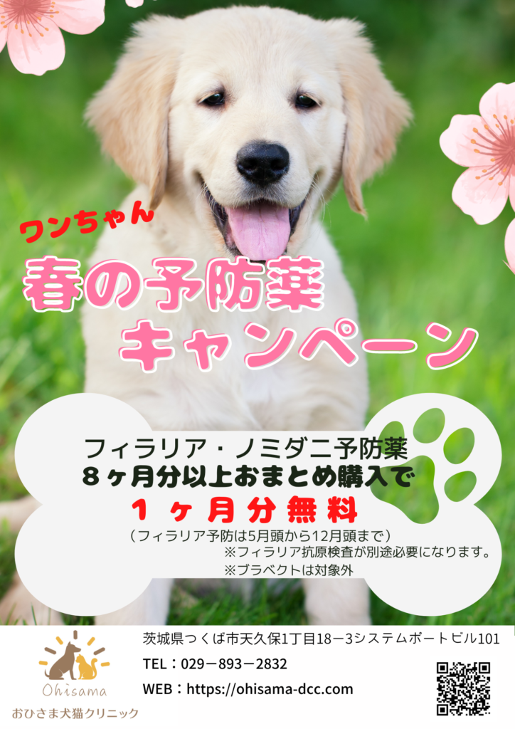 春の予防薬キャンペーン 犬